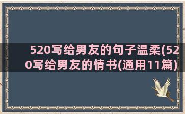 520写给男友的句子温柔(520写给男友的情书(通用11篇))