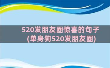 520发朋友圈惊喜的句子(单身狗520发朋友圈)