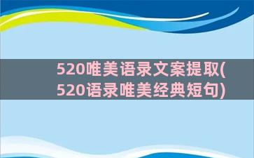 520唯美语录文案提取(520语录唯美经典短句)