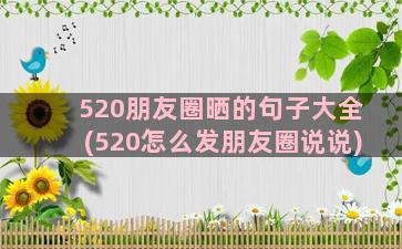 520朋友圈晒的句子大全(520怎么发朋友圈说说)