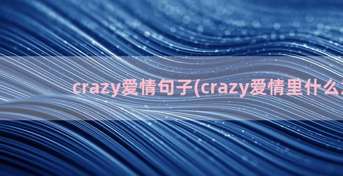 crazy爱情句子(crazy爱情里什么意思)