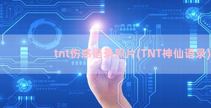 tnt伤感语录照片(TNT神仙语录)