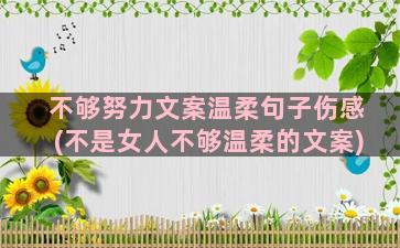 不够努力文案温柔句子伤感(不是女人不够温柔的文案)