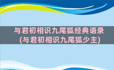 与君初相识九尾狐经典语录(与君初相识九尾狐少主)