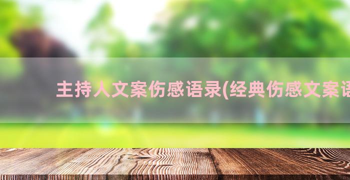 主持人文案伤感语录(经典伤感文案语段)