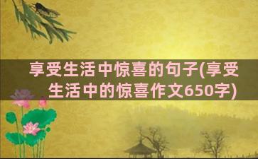 享受生活中惊喜的句子(享受生活中的惊喜作文650字)