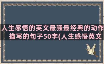 人生感悟的英文最骚最经典的动作描写的句子50字(人生感悟英文怎么说)