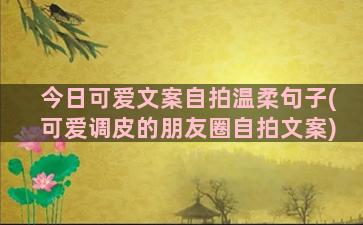 今日可爱文案自拍温柔句子(可爱调皮的朋友圈自拍文案)