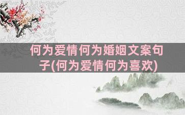 何为爱情何为婚姻文案句子(何为爱情何为喜欢)