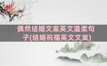 偶然结婚文案英文温柔句子(结婚祝福英文文案)