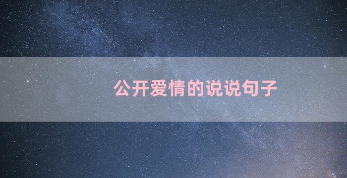 公开爱情的说说句子