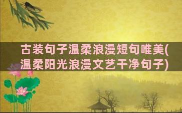 古装句子温柔浪漫短句唯美(温柔阳光浪漫文艺干净句子)