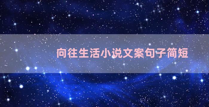 向往生活小说文案句子简短