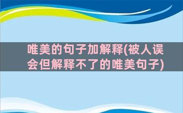 唯美的句子加解释(被人误会但解释不了的唯美句子)