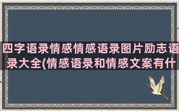 四字语录情感情感语录图片励志语录大全(情感语录和情感文案有什么区别)