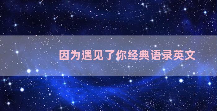 因为遇见了你经典语录英文