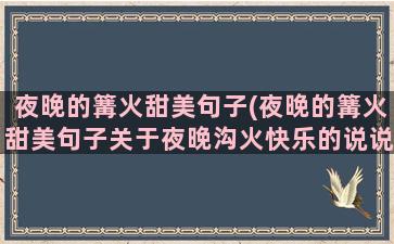 夜晚的篝火甜美句子(夜晚的篝火甜美句子关于夜晚沟火快乐的说说)