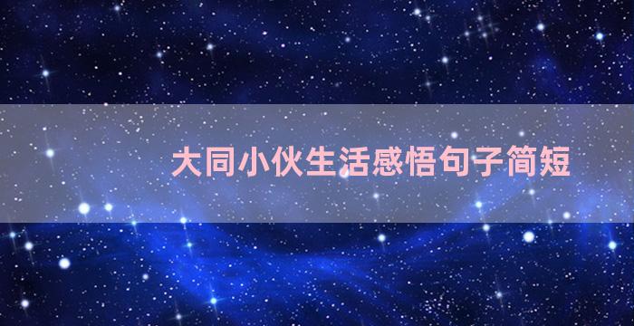 大同小伙生活感悟句子简短