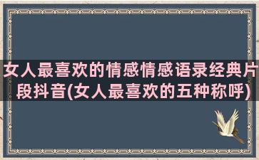 女人最喜欢的情感情感语录经典片段抖音(女人最喜欢的五种称呼)