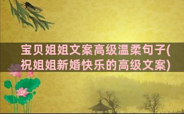 宝贝姐姐文案高级温柔句子(祝姐姐新婚快乐的高级文案)