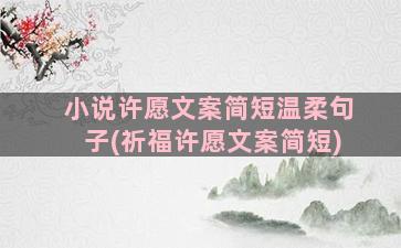 小说许愿文案简短温柔句子(祈福许愿文案简短)