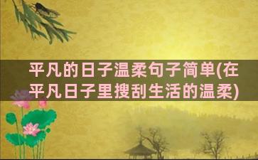 平凡的日子温柔句子简单(在平凡日子里搜刮生活的温柔)