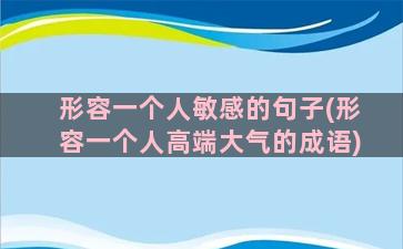 形容一个人敏感的句子(形容一个人高端大气的成语)