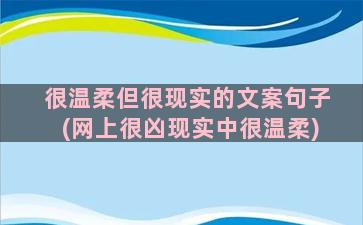 很温柔但很现实的文案句子(网上很凶现实中很温柔)