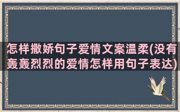 怎样撒娇句子爱情文案温柔(没有轰轰烈烈的爱情怎样用句子表达)