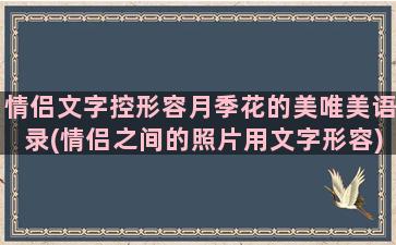 情侣文字控形容月季花的美唯美语录(情侣之间的照片用文字形容)