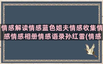 情感解读情感蓝色姐夫情感收集情感情感相册情感语录孙红雷(情感解读)