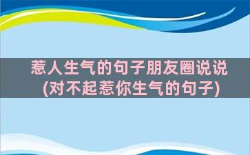 惹人生气的句子朋友圈说说(对不起惹你生气的句子)