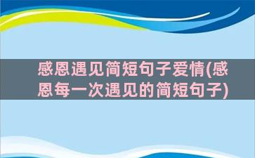 感恩遇见简短句子爱情(感恩每一次遇见的简短句子)