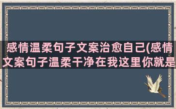 感情温柔句子文案治愈自己(感情文案句子温柔干净在我这里你就是小孩)