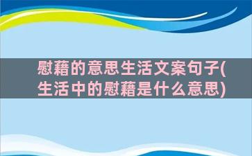 慰藉的意思生活文案句子(生活中的慰藉是什么意思)