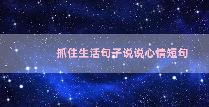 抓住生活句子说说心情短句