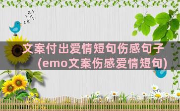 文案付出爱情短句伤感句子(emo文案伤感爱情短句)