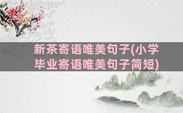 新茶寄语唯美句子(小学毕业寄语唯美句子简短)