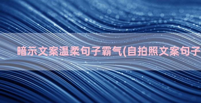 暗示文案温柔句子霸气(自拍照文案句子温柔干净)