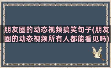 朋友圈的动态视频搞笑句子(朋友圈的动态视频所有人都能看见吗)