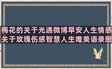 梅花的关于光遇微博早安人生情感关于玫瑰伤感智慧人生唯美语录图片