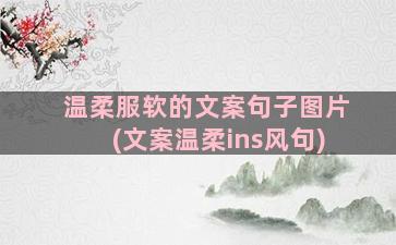 温柔服软的文案句子图片(文案温柔ins风句)