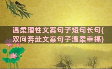 温柔理性文案句子短句长句(双向奔赴文案句子温柔幸福)