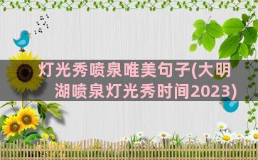 灯光秀喷泉唯美句子(大明湖喷泉灯光秀时间2023)