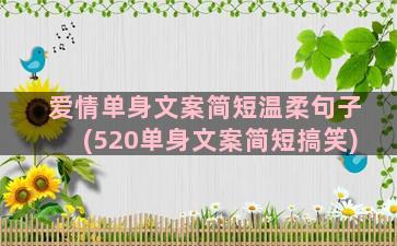 爱情单身文案简短温柔句子(520单身文案简短搞笑)