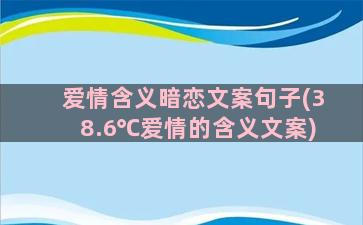 爱情含义暗恋文案句子(38.6℃爱情的含义文案)