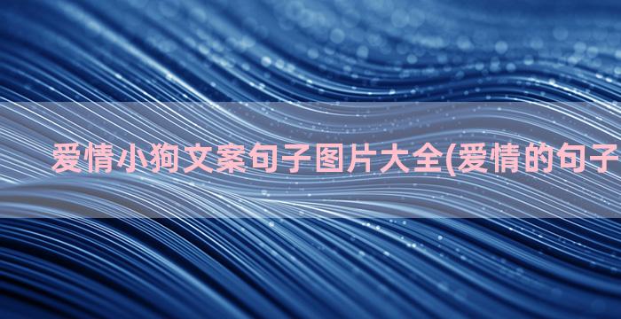 爱情小狗文案句子图片大全(爱情的句子唯美文案)