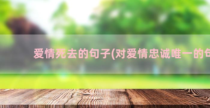 爱情死去的句子(对爱情忠诚唯一的句子)