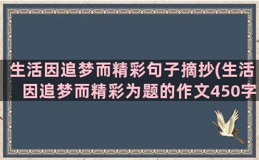 生活因追梦而精彩句子摘抄(生活因追梦而精彩为题的作文450字)