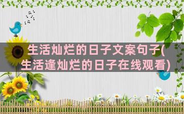 生活灿烂的日子文案句子(生活逢灿烂的日子在线观看)